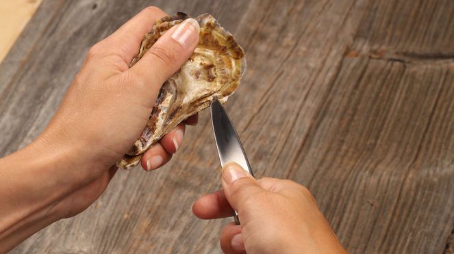 
                    Oyster/hard cheese knife sknife for opening oysters and for hard cheese