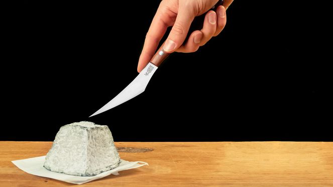 
                    Goat cheese knife designed for cutting the usually small goat's cheeses