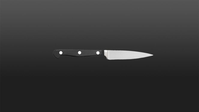 
                    Couteau d’office Classic Wok: forgé à Solingen avec un bon rapport qualité/prix