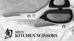 Scissors, Household scissors pro