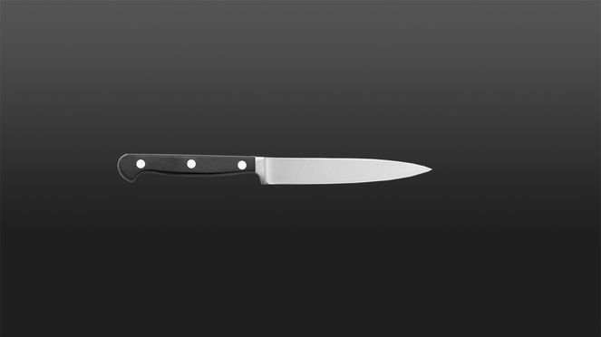 
                    Le manche du couteau universel Classic Wok est fabriqué en matière plastique spécial